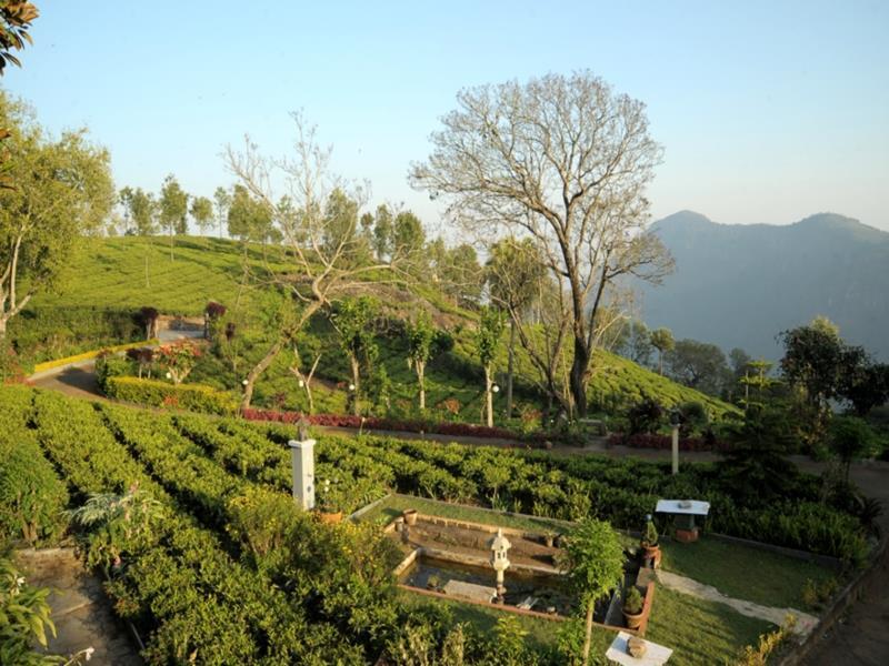 Teanest By Nature Resorts And Stays Coonoor Bagian luar foto