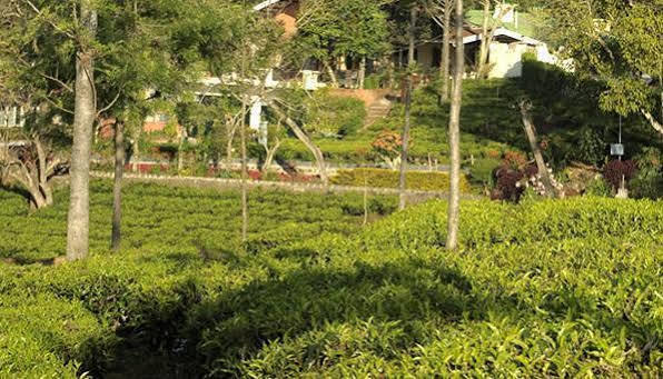 Teanest By Nature Resorts And Stays Coonoor Bagian luar foto