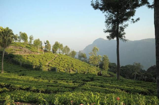 Teanest By Nature Resorts And Stays Coonoor Bagian luar foto